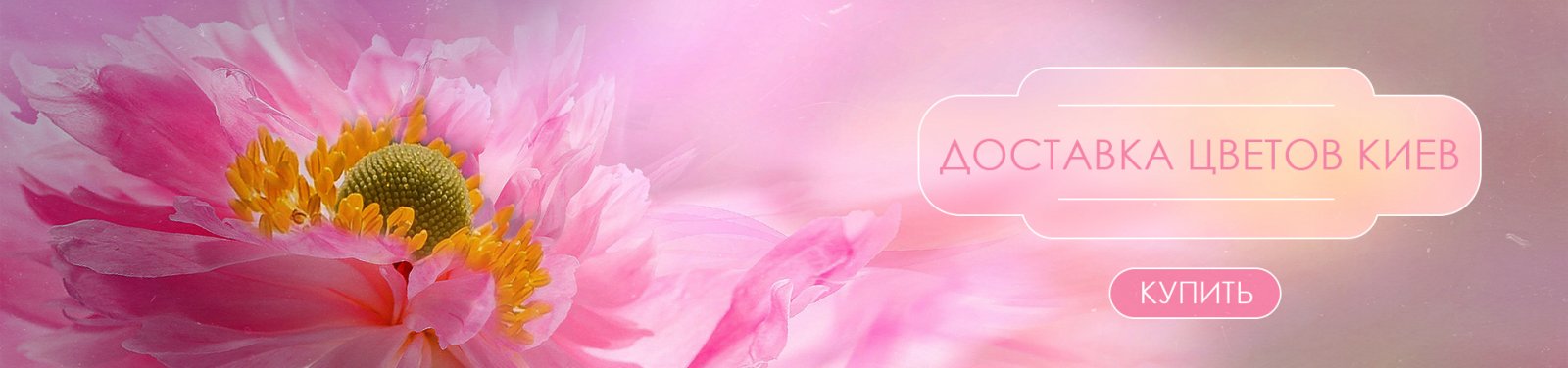Доставка цветов Киев Доставка цветов Киев